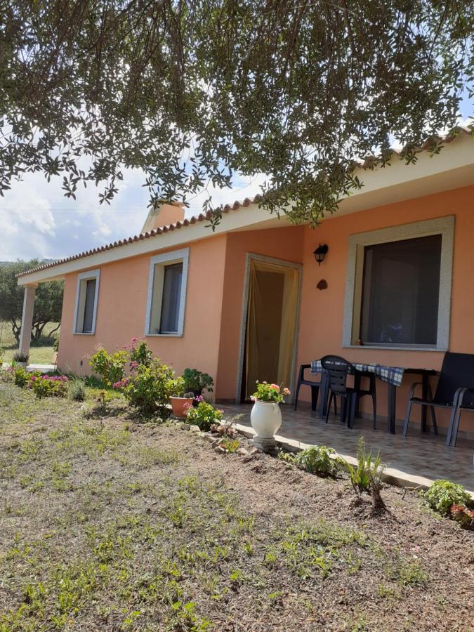 Gli Olivastri: Mediterranean Oasis with Pool and Sea View Aglientu Exterior photo