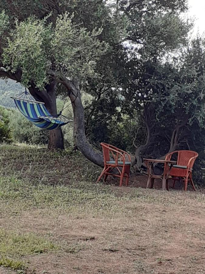 Gli Olivastri: Mediterranean Oasis with Pool and Sea View Aglientu Exterior photo