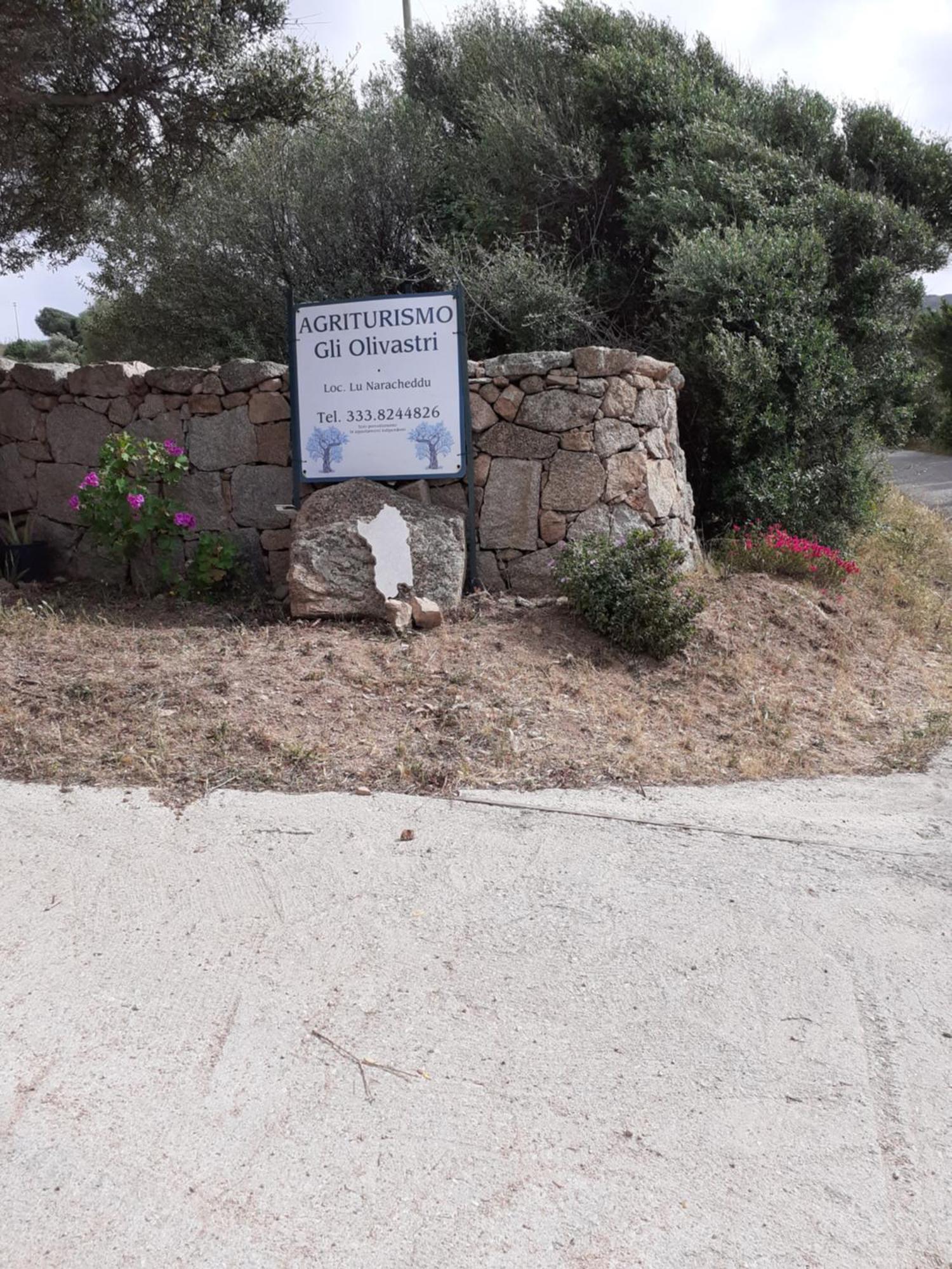 Gli Olivastri: Mediterranean Oasis with Pool and Sea View Aglientu Exterior photo