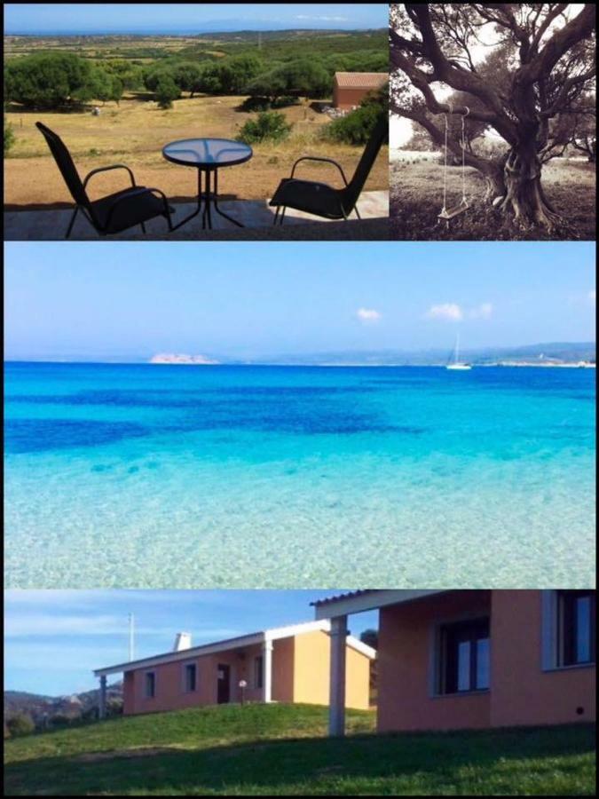 Gli Olivastri: Mediterranean Oasis with Pool and Sea View Aglientu Exterior photo